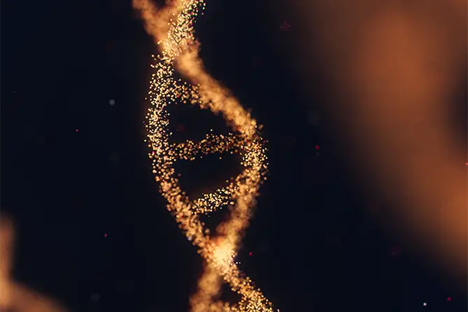 anirudh-YQYacLW8o2U-unsplash